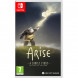 Игра Arise: A Simple Story. Definitive Edition [Nintendo Switch, русские субтитры] в Курске