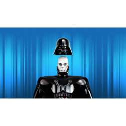 Конструктор LEGO Star Wars 75534 Дарт Вейдер Constraction