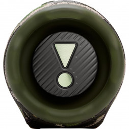 Портативная акустика JBL Charge 6, камуфляж