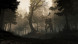 Игра GreedFall [PS4, русские субтитры] в Курске
