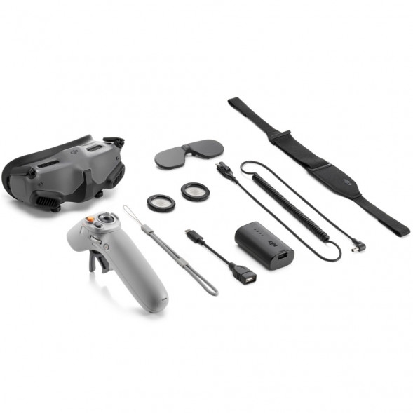 DJI Goggles 2 Motion Combo (DJI RC Motion 2) в Курске