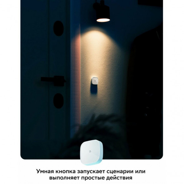 Умная кнопка Sber SBDV-00032 в Курске