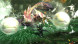 Игра Monster Hunter Generations Ultimate [Nintendo Switch, английская версия] в Курске