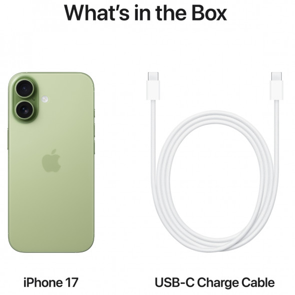 Смартфон Apple iPhone 17 256GB eSim, Sage в Курске