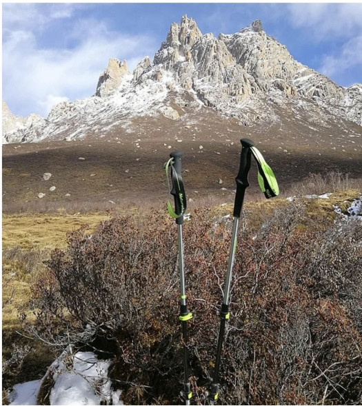 Треккинговая палка Naturehike 135 см, 1шт., серый/зеленый в Курске