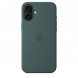 Чехол Apple для iPhone 16 Plus Silicone MagSafe,  Lake Green (MYYH3ZM/A) в Курске