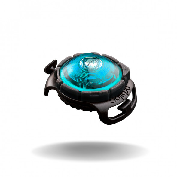 Фонарь для собак Orbiloc Dog Dual Fashion Colours, бирюзовый в Курске