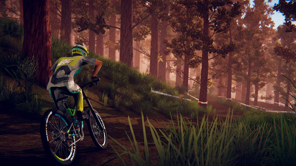 Игра Descenders [Nintendo Switch, английская версия] в Курске
