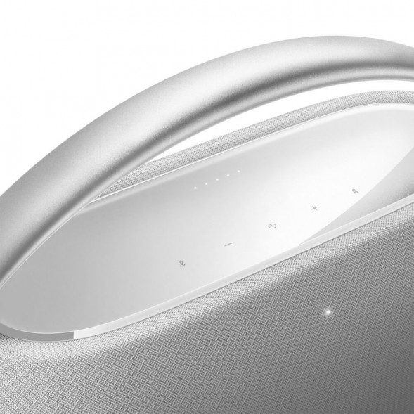 Портативная акустика Harman/Kardon Go + Play 3, серый в Курске