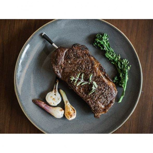 Термометр со щупом Meater Plus для мяса в Курске