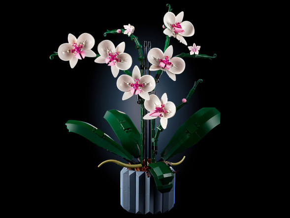 Конструктор LEGO Creator 10311 Орхидея в Курске