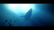 Игра Under The Waves [PS4, русские субтитры] в Курске