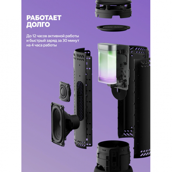 Умная портативная колонка Яндекс Станция Стрит с Алисой, черный в Курске