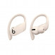 Беспроводные наушники Beats Powerbeats Pro, Ivory (MY5D2ZM/A) в Курске