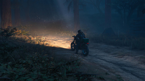 Игра Жизнь После (Days Gone) [PS4, русская версия] в Курске