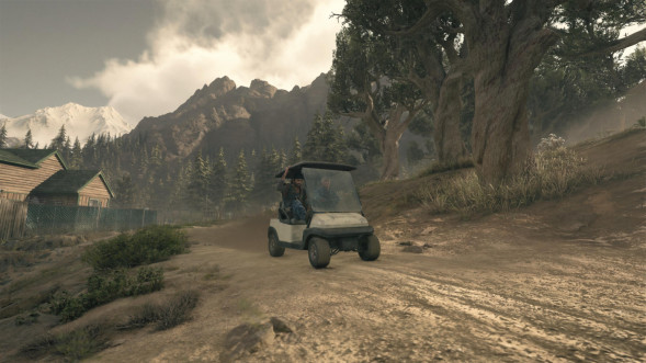 Игра Жизнь После (Days Gone) [PS4, русская версия] в Курске